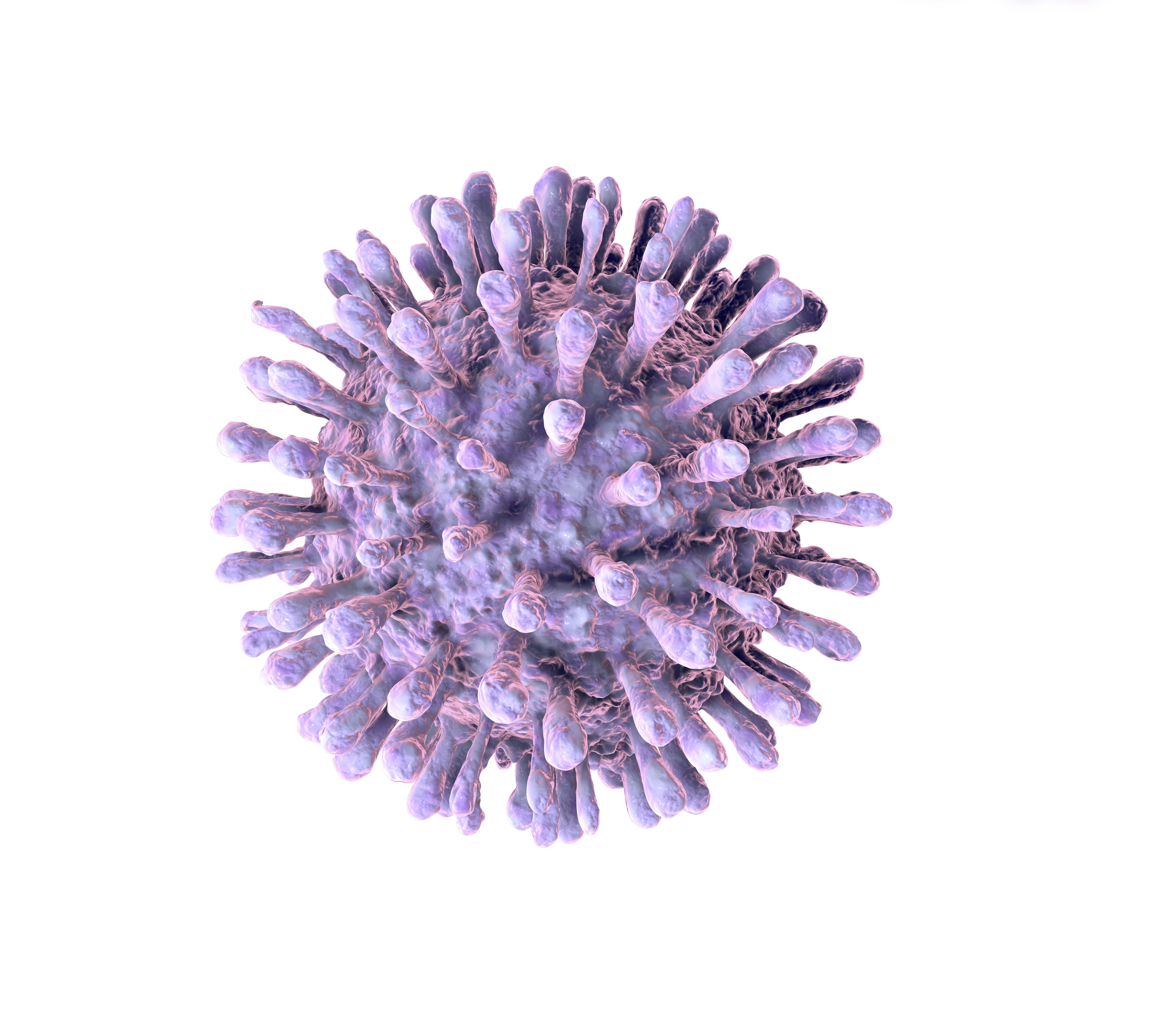 Rapid-Lenti HIV-1 p24 ELISA Kit (Single Wash)